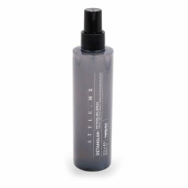 Entwirrender Conditioner Termix Spray (200 ml)