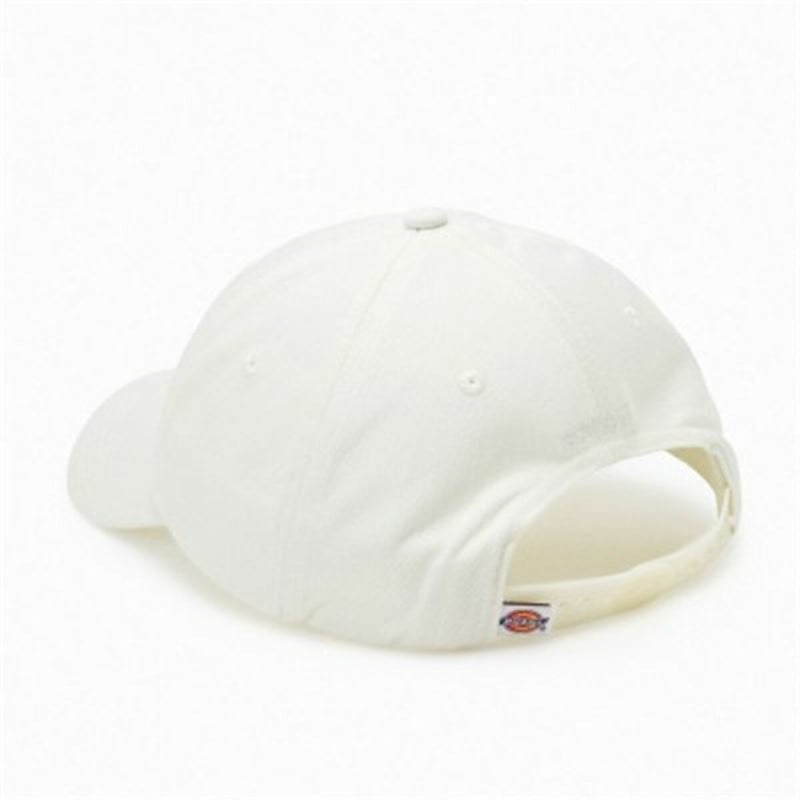 Sports Cap Dickies Hardwick Cloud (One size)