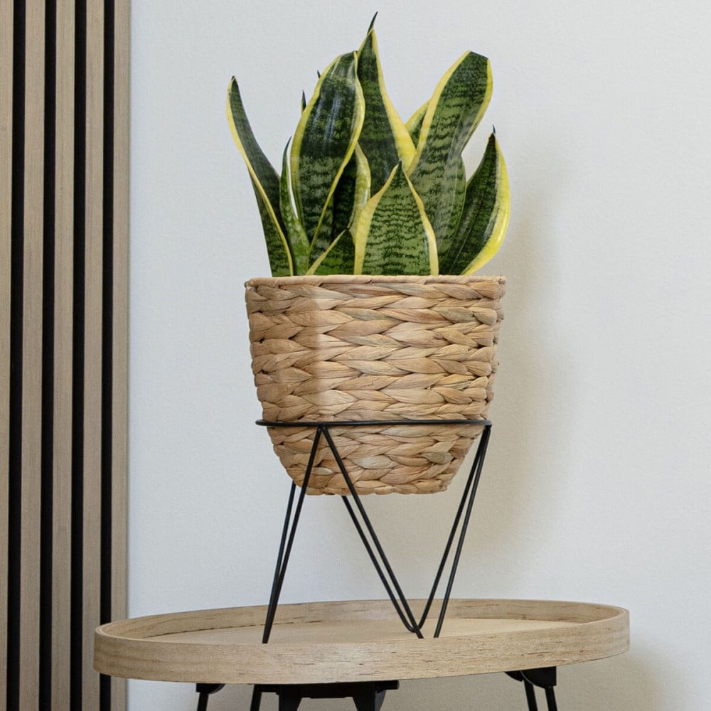 Planter with stand Vinthera Moa Beige Metal Water hyacinth 20 x 30 cm 25 x 40 cm 2 Pieces