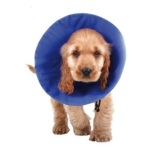 Hunde-Halskrause KVP EZ Soft Blau (9-25 cm)