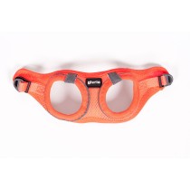 Hundegeschirr Gloria Trek Star 29,4-32,6 cm 41,4-43 cm Orange S