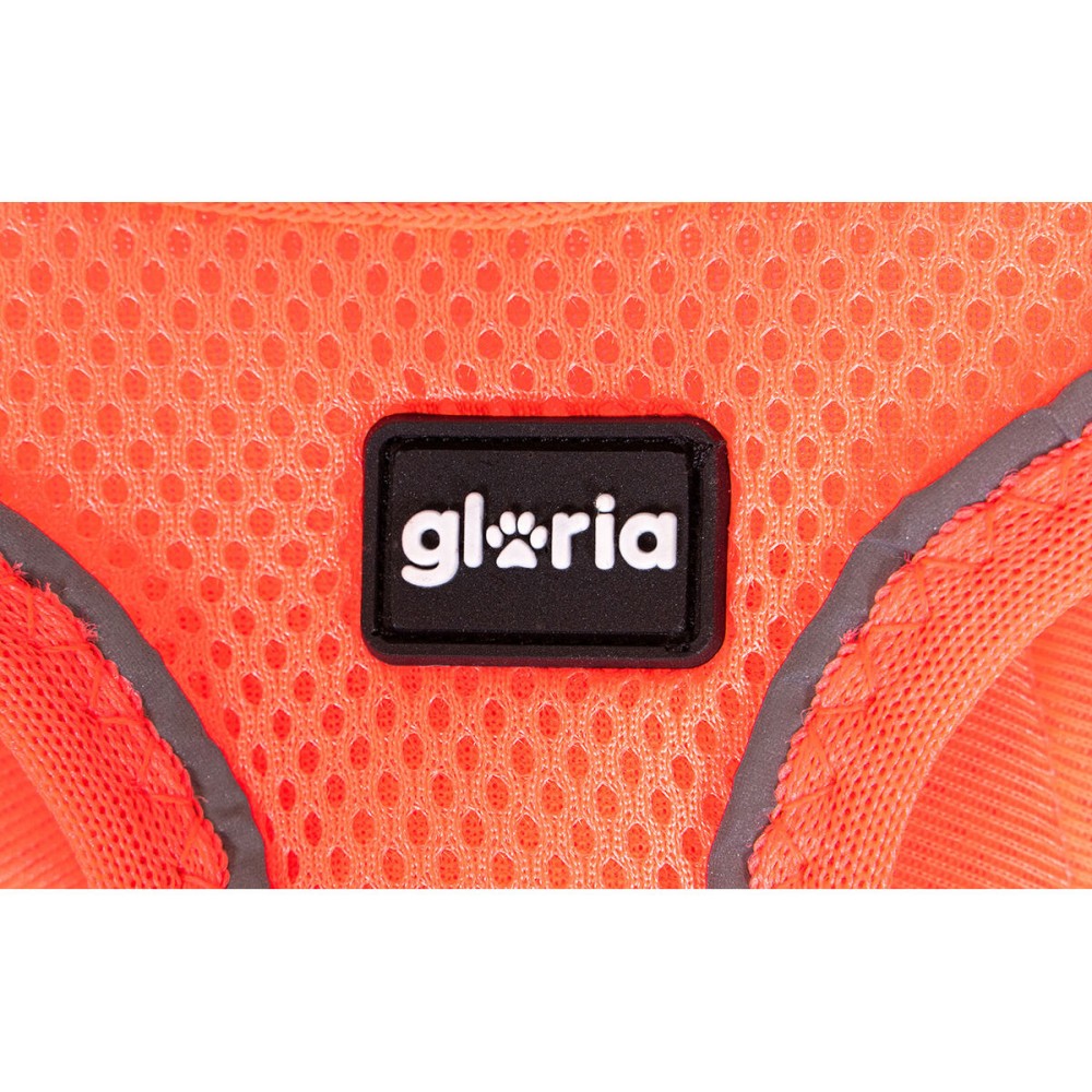 Harnais pour Chien Gloria Trek Star 29,4-32,6 cm 41,4-43 cm Orange S