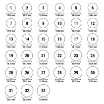 Damenring 24KAE 12417S/52 12 Silberfarben