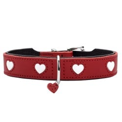 Collier pour Chien Hunter Love Rouge S/M 38-44 cm