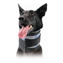 Collier cervical pour chiens KVP Noir (6-28 cm)