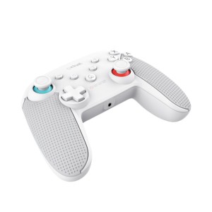 Manette Pro pour Nintendo Switch + Câble USB Trust GXT 1246W