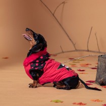 Dog Coat Minnie Mouse