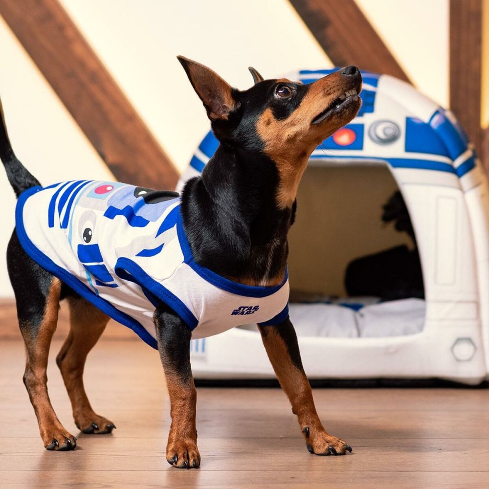 Dog T-shirt Star Wars R2-D2 M Blue