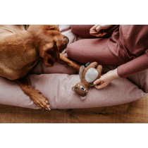 Kuscheltier für Hunde Hunter Braun 100 % Recycelter Bär