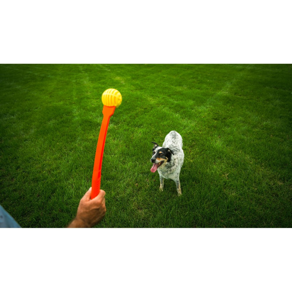 Ball Launcher for Dogs Hunter