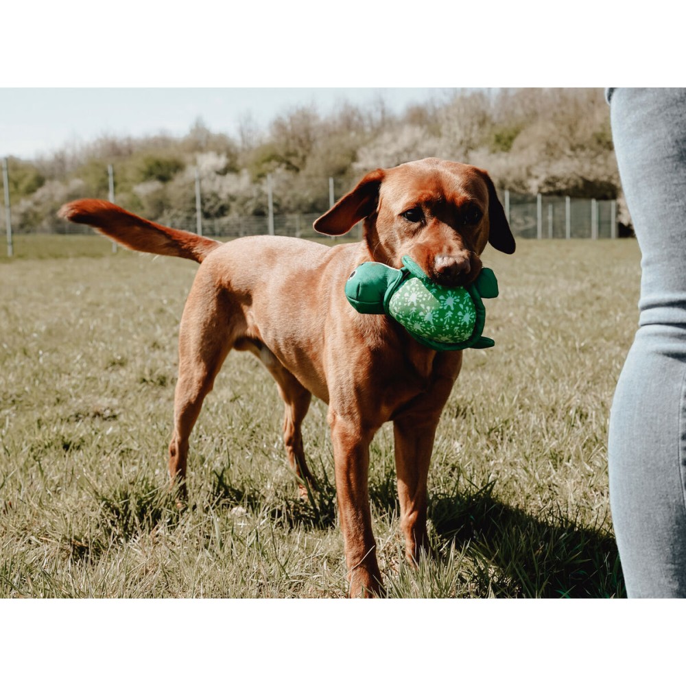 Jouet pour chien Hunter