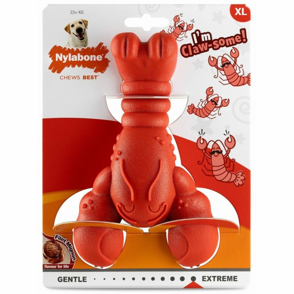 Jouet pour chien Nylabone Rouge Viande de bœuf Artificielle XL