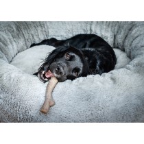 Jouet pour chien Nylabone Marron Beurre de cacahuètes XL