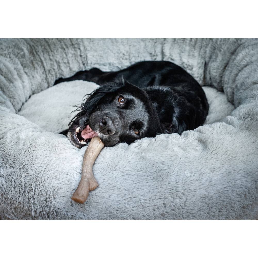 Dog chewing toy Nylabone Brown Peanut butter XL