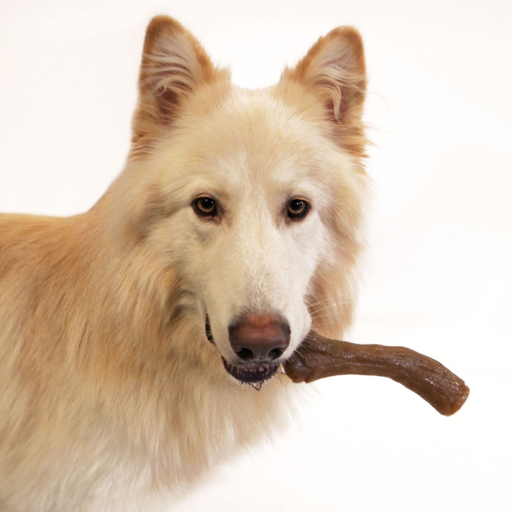 Dog chewing toy Nylabone Brown Peanut butter XL