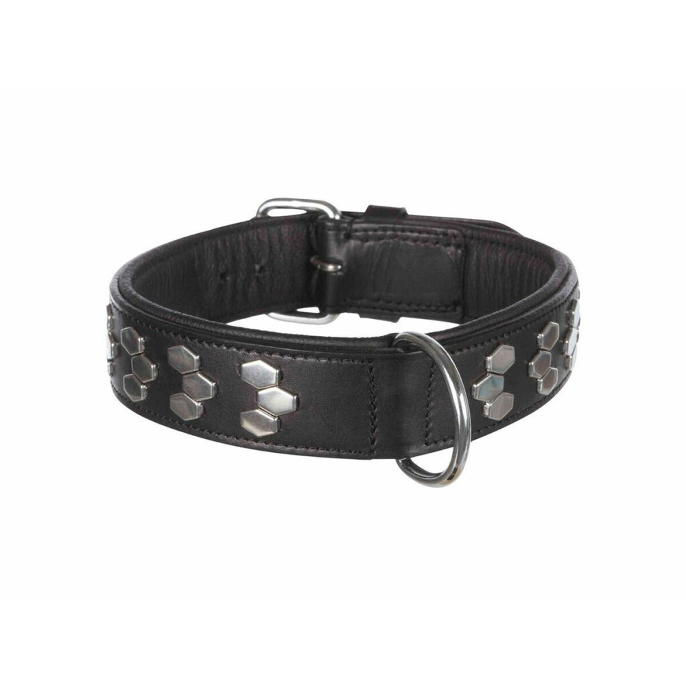 Halsband Trixie 38-45 cm Schwarz