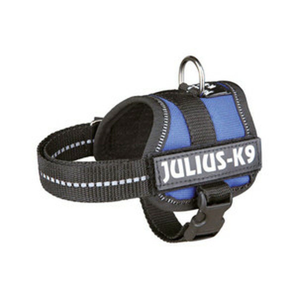 Harnais pour Chien Julius K9 Power Bleu 1 Baby 1 (XS)