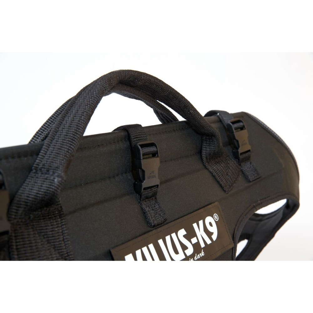 Dog Harness Julius K9 IDC M