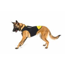 Hundegeschirr Julius K9 IDC L/XL 2