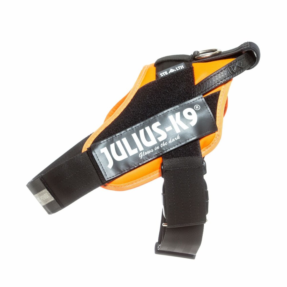 Harnais pour Chien Julius K9 IDC Orange L 1 66-85 cm