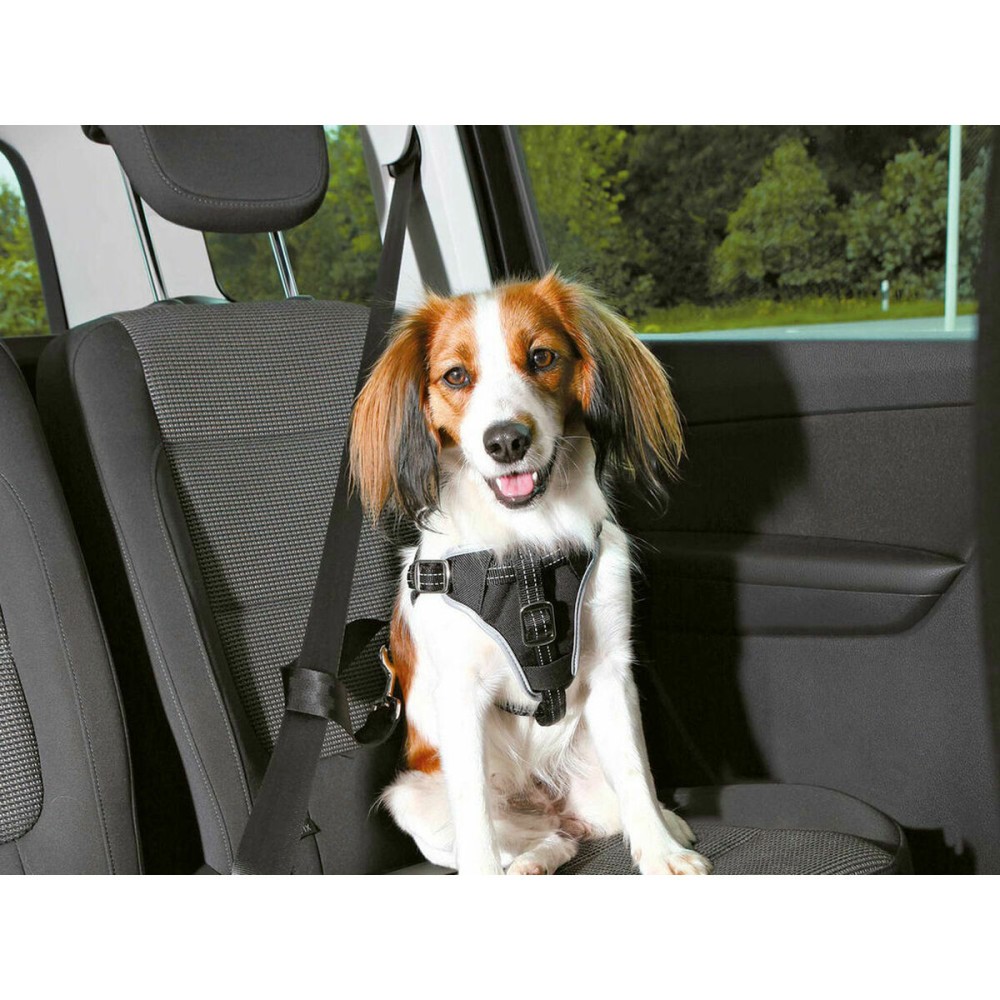 Dog Harness Trixie Comfort Black S/M Car