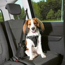 Dog Harness Trixie Comfort Black S/M Car