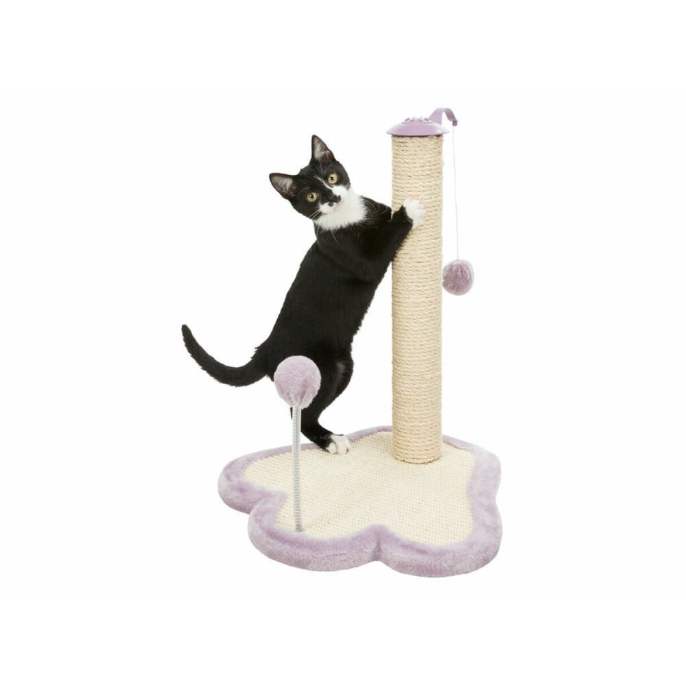 Grattoir pour Chats Trixie Junior Violet 50 cm