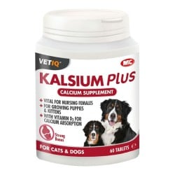 Nahrungsergänzungsmittel und Vitamine Planet Line Kalsium Plus 60 Stück