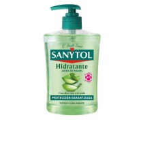 Handseife mit Spender Sanytol Antibakteriell (500 ml)