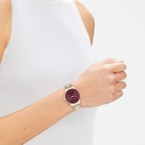 Montre Femme Calvin Klein