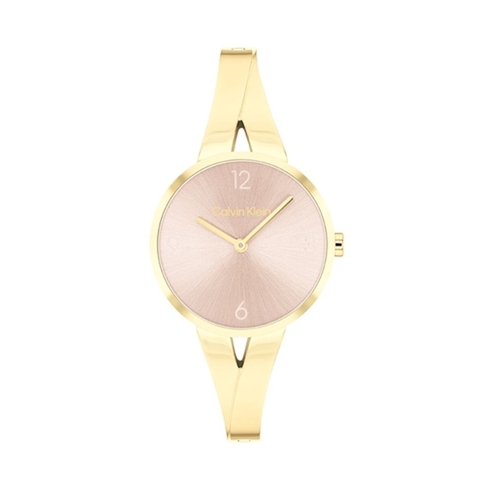 Ladies' Watch Calvin Klein 25100027