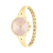 Montre Femme Calvin Klein 25100027