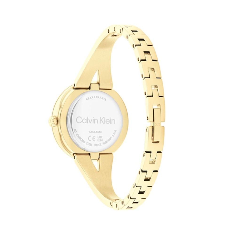 Ladies' Watch Calvin Klein 25100027