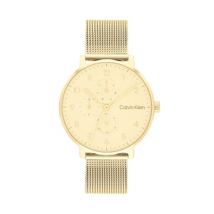 Montre Homme Calvin Klein 25200403 Doré