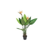 Plante décorative DKD Home Decor (80 x 80 x 120 cm)