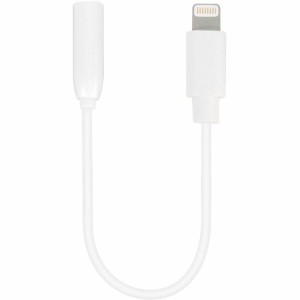 Audio Jack to Lightning Cable Vivanco 61809