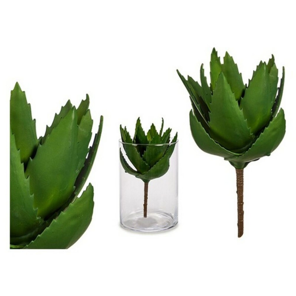 Decorative Plant Ibergarden YD181153 Plastic