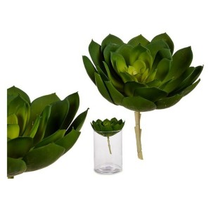 Decorative Plant Ibergarden YD180138 Plastic