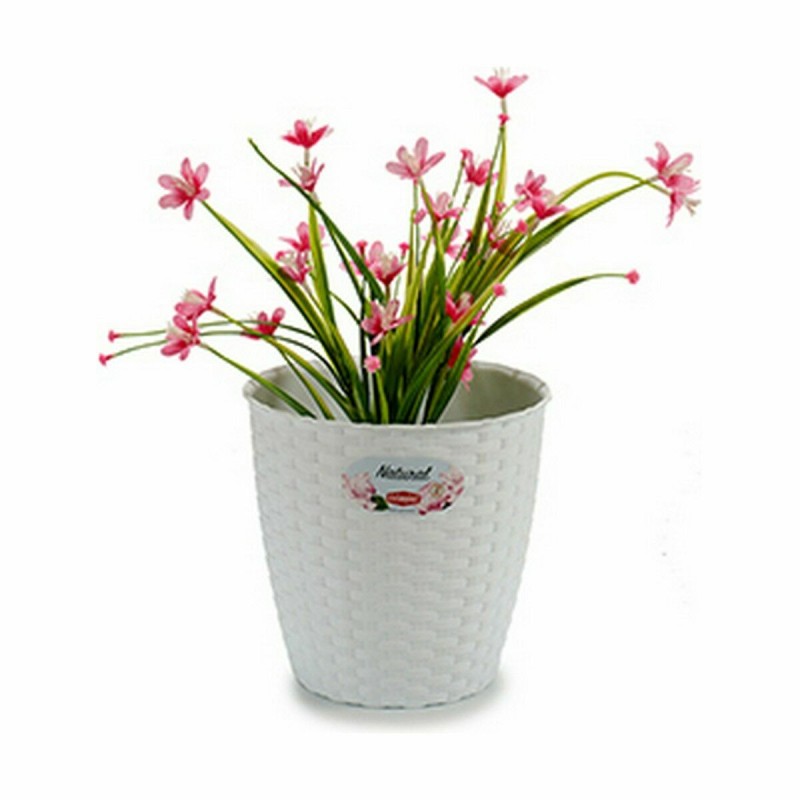 Planter Stefanplast White Plastic 19 x 17,5 x 19 cm (12 Units)