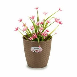 Blumentopf Stefanplast Braun Kunststoff 19 x 17,5 x 19 cm (12 Stück)