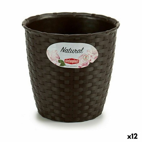 Planter Stefanplast Plastic 14 x 13 x 14 cm (12 Units)