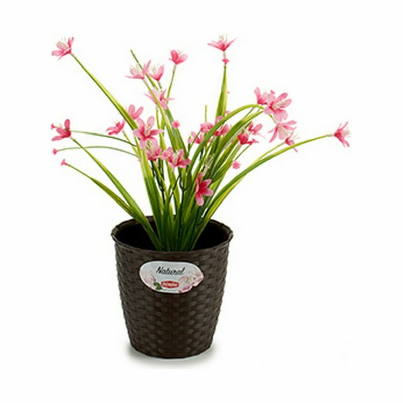 Planter Stefanplast Plastic 14 x 13 x 14 cm (12 Units)