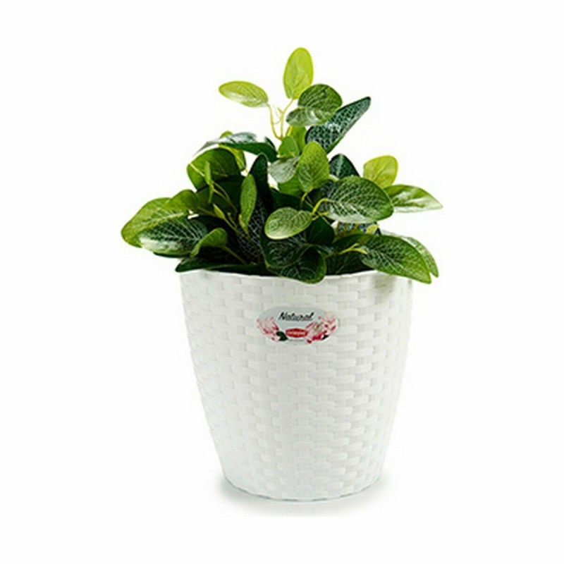 Blumentopf Stefanplast Weiß Kunststoff 24 x 22,5 x 24 cm (6 Stück)