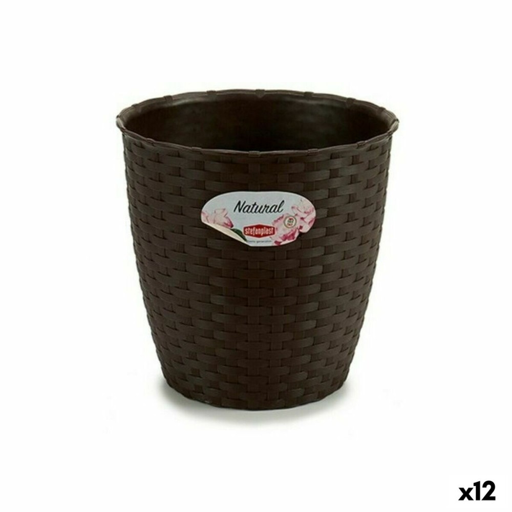 Pot Stefanplast Plastique Chocolat 19 x 17,5 x 19 cm (12 Unités)