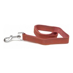 Laisse pour Chien Gloria Oasis 2.1 x 100 cm Rouge