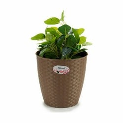 Blumentopf Stefanplast Braun Kunststoff 24 x 22,5 x 24 cm (6 Stück)