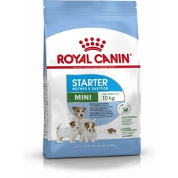 Fodder Royal Canin Starter Mother And Babydog Adult Chicken Birds 1 kg