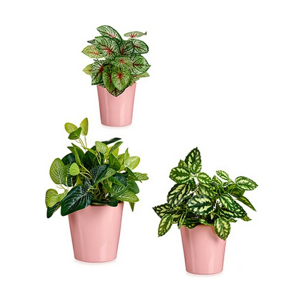 Set of pots Ibergarden LINCE PQ - 3015 Pink Clay (6 Units)