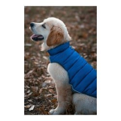 Manteau pour Chien Red Dingo Puffer 45 cm Turquoise