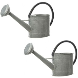 Watering Can Decoris Grey Zinc (5 L)